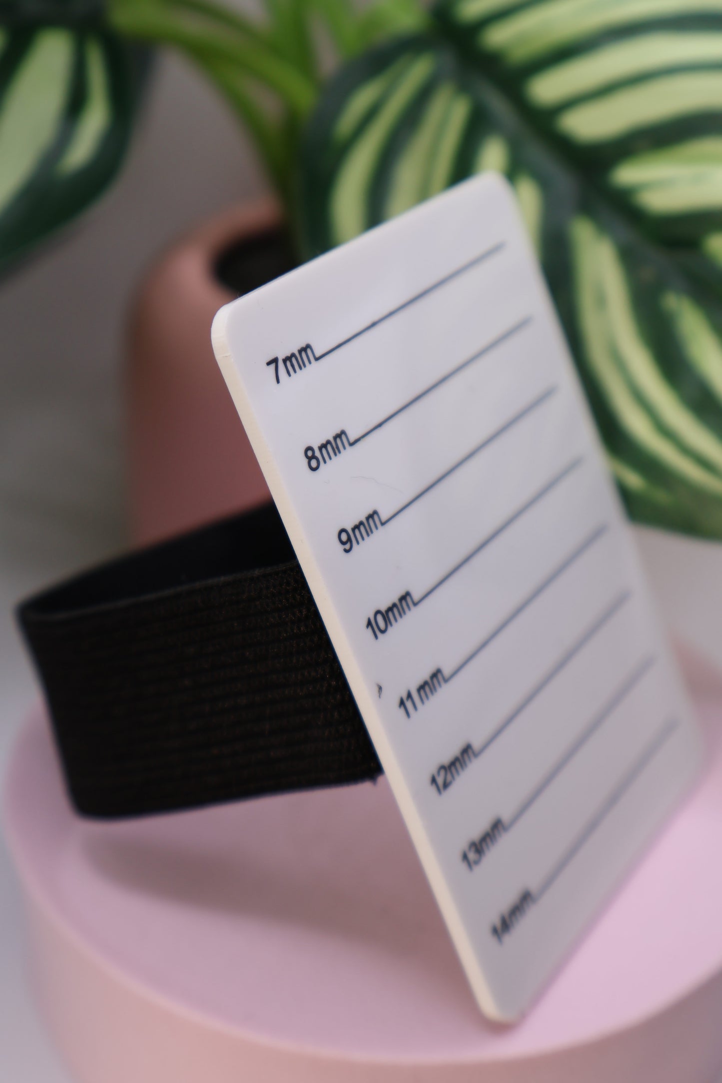 Hand held lash palette - Athaliah’s Artistry