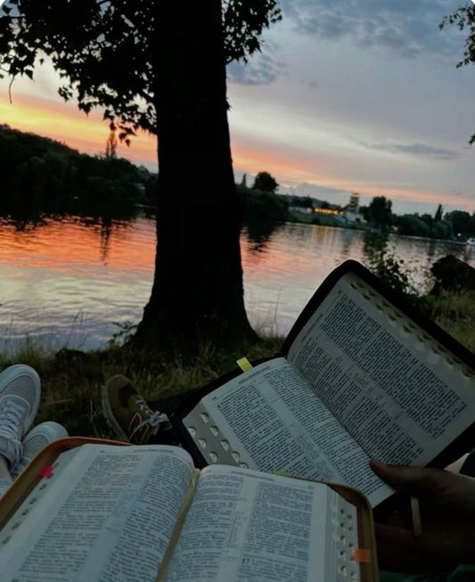 Seek FIRST His kingdom and His righteousness.