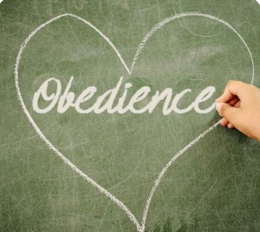 Love is obedience not a feeling.