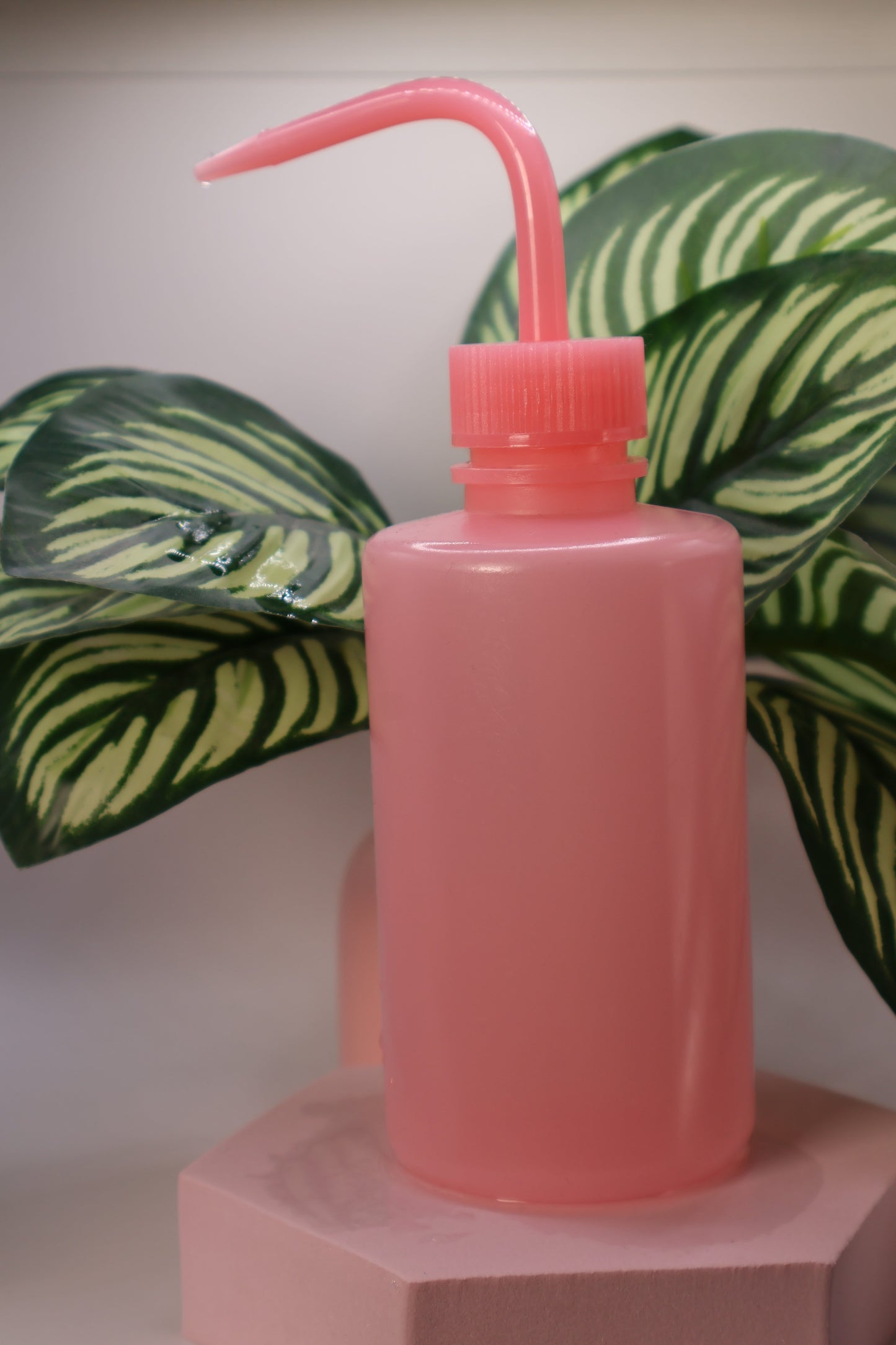 250ml Water bottle - Athaliah’s Artistry