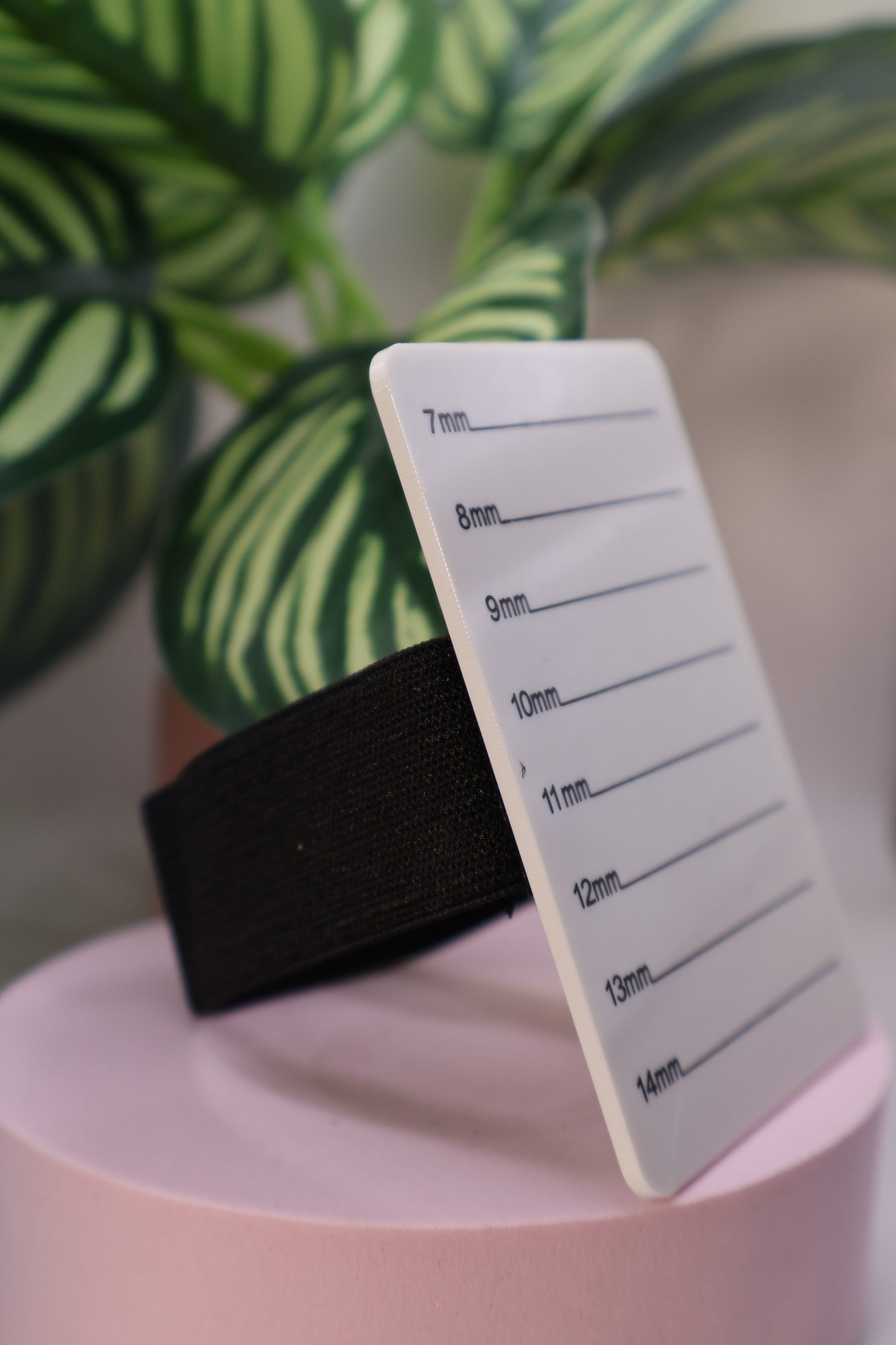 Hand held lash palette - Athaliah’s Artistry